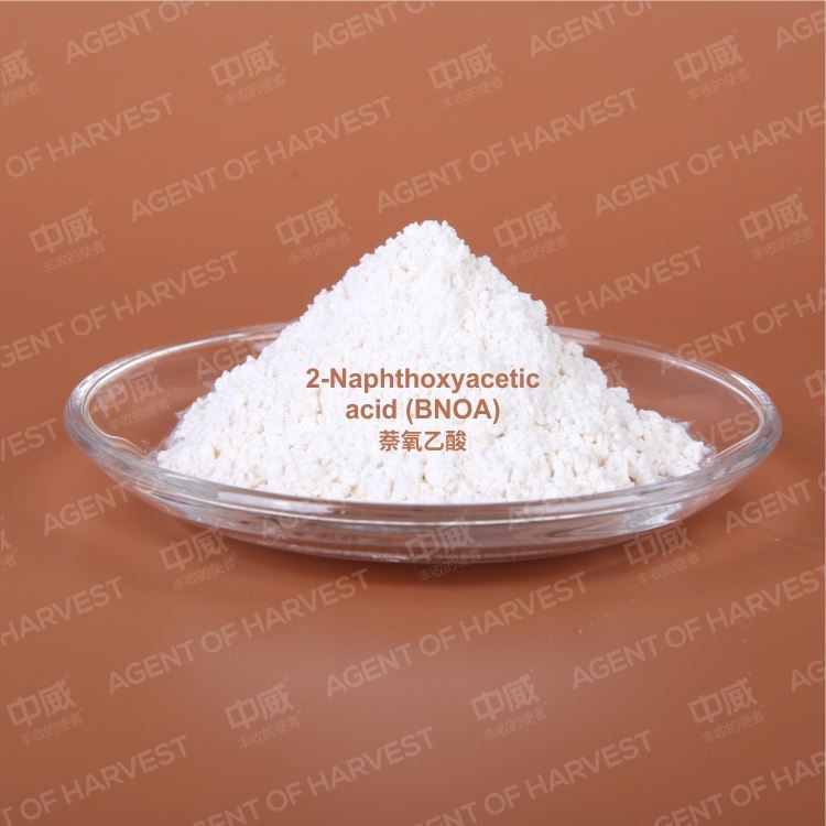 Bnoa Argochemical paint Growth Regulator Beta-Naphthoxyacetic Acid 98%Tc