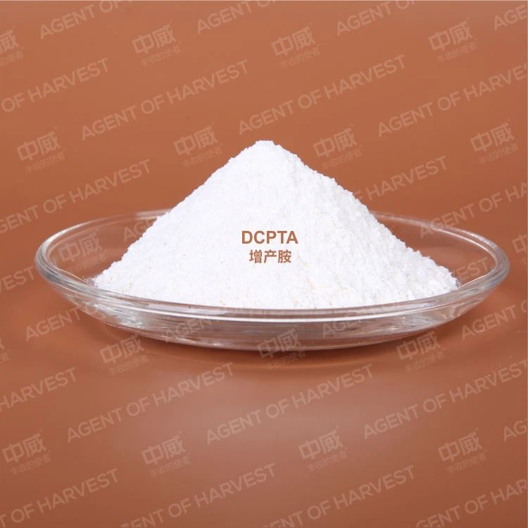 Hot Sale Promote Tuber Crops Somatropin Dcpta 98%Tc 80%Sp