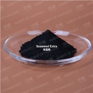 seaweed fertilizer