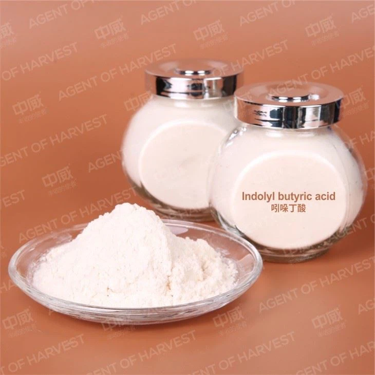 3-Indolebutyvic Acid IBA With Safe And Fast Delivery