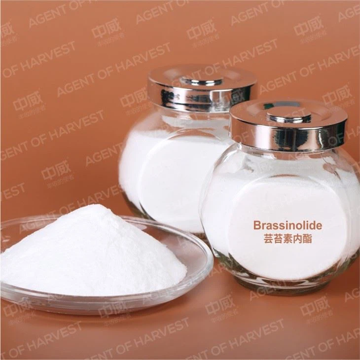 Br Brassinolide 90%, 0.1%Sp 0.01%SL Plant Growth Regulator Pgr CAS 72962-43-7